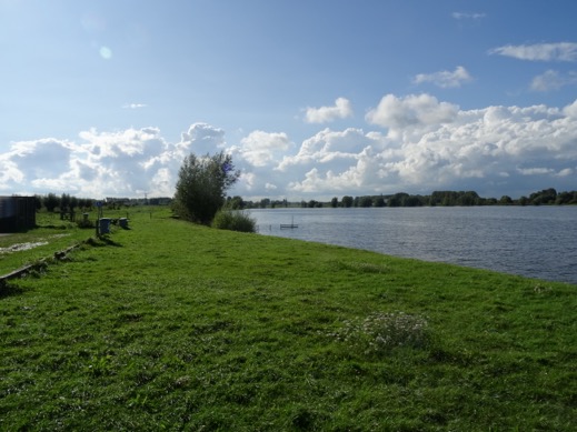 DSC02454
