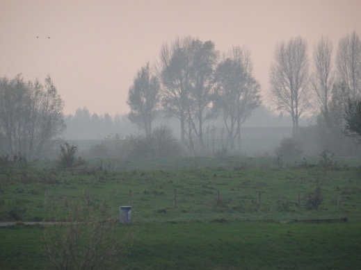 DSC02901