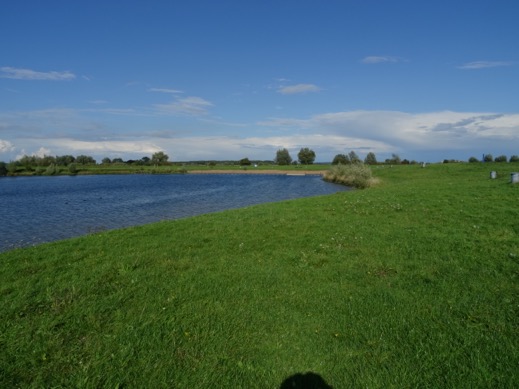 plas1